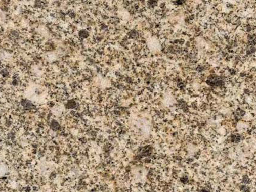 卡基諾金大黃光面